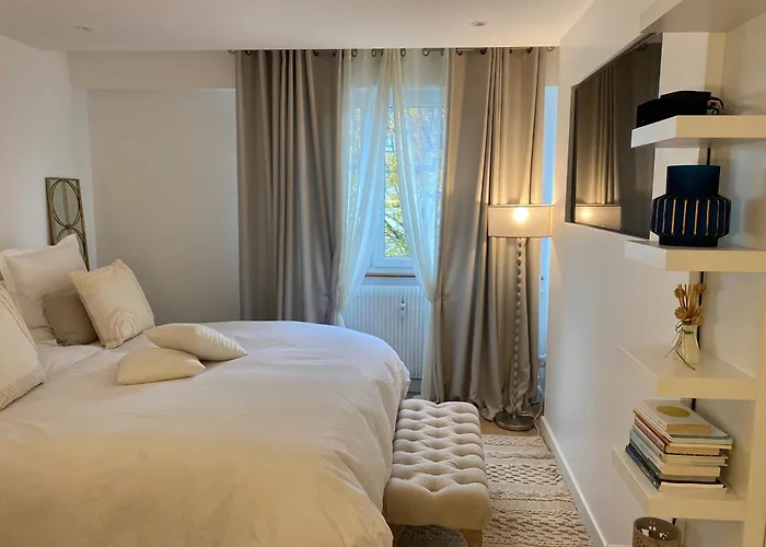 Luxury Flat Located 5 Mins From Strasbourg Center